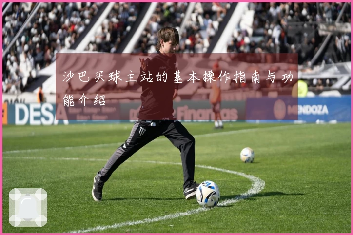 沙巴买球主站的基本操作指南与功能介绍
