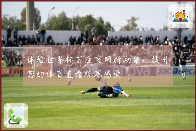 体验世界杯下注官网新功能，提升您的体育直播观赛感受