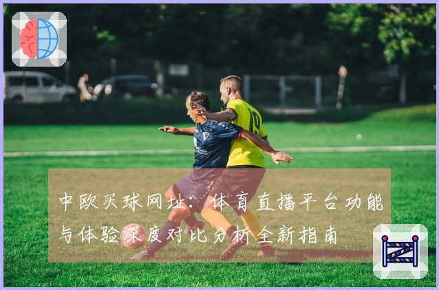 中欧买球网址：体育直播平台功能与体验深度对比分析全新指南